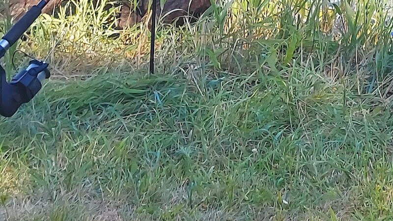 Shell Rock Park - Shell Rock, IA