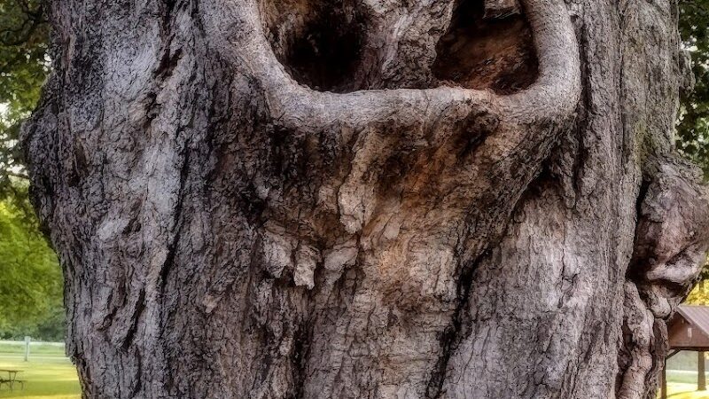 Shell Rock Park - Shell Rock, IA