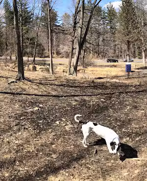 Shelton Dog Park - Shelton, CT