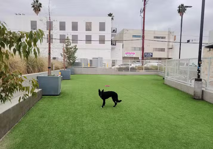 Library Square Dog Park - Sherman Oaks, CA