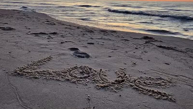 Beaver Creek Campground - Shingleton,