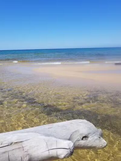 Beaver Creek Campground - Shingleton,