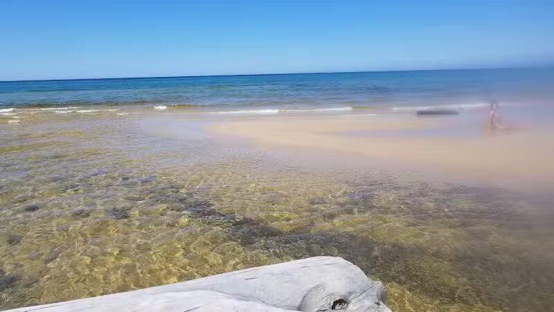 Beaver Creek Campground - Shingleton,
