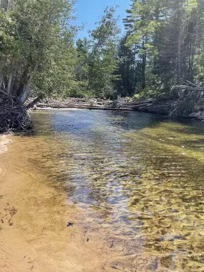 Beaver Creek Campground - Shingleton,