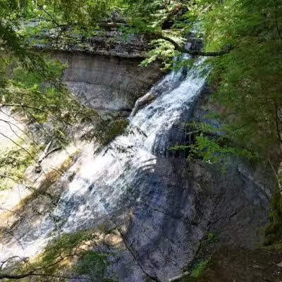 Chapel Falls Trailhead - Shingleton,
