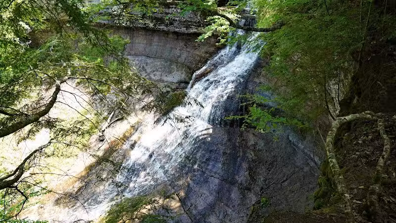 Chapel Falls Trailhead - Shingleton,