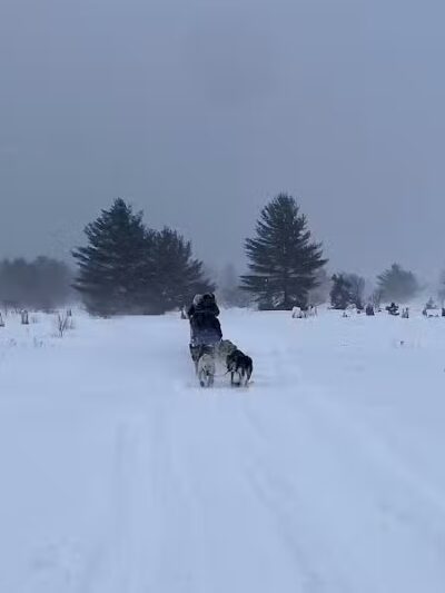 Husky Haven Kennels - Shingleton,