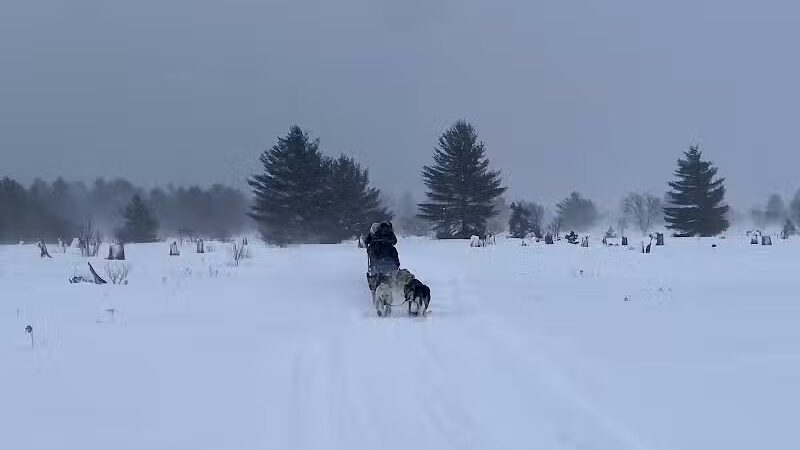 Husky Haven Kennels - Shingleton,