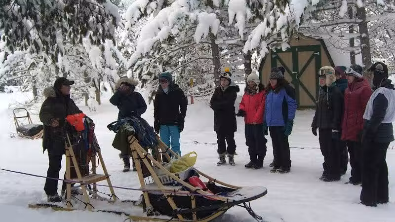 Husky Haven Kennels - Shingleton,