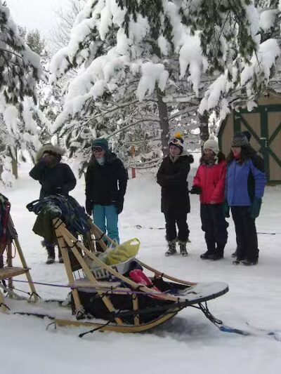 Husky Haven Kennels - Shingleton,