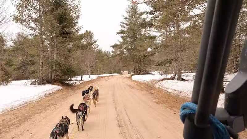 Husky Haven Kennels - Shingleton,