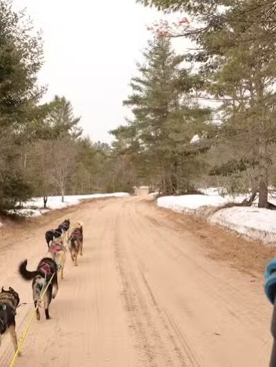 Husky Haven Kennels - Shingleton,