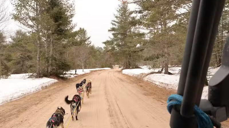 Husky Haven Kennels - Shingleton,