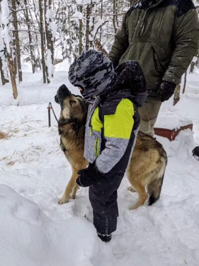 Husky Haven Kennels - Shingleton,