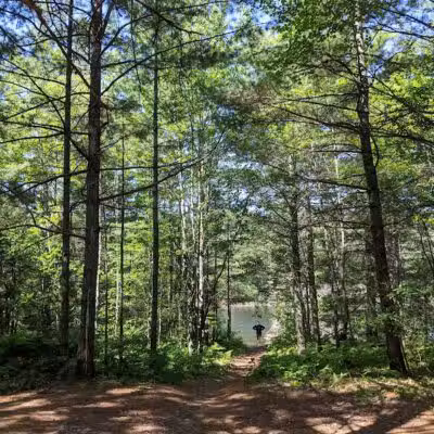 Kingston Lake State Forest Campground - Shingleton,