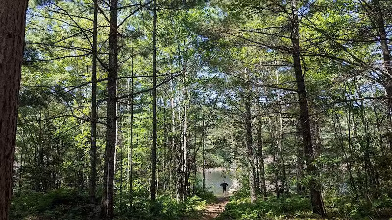 Kingston Lake State Forest Campground - Shingleton,