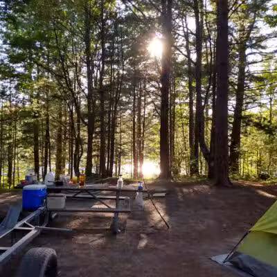 Kingston Lake State Forest Campground - Shingleton,