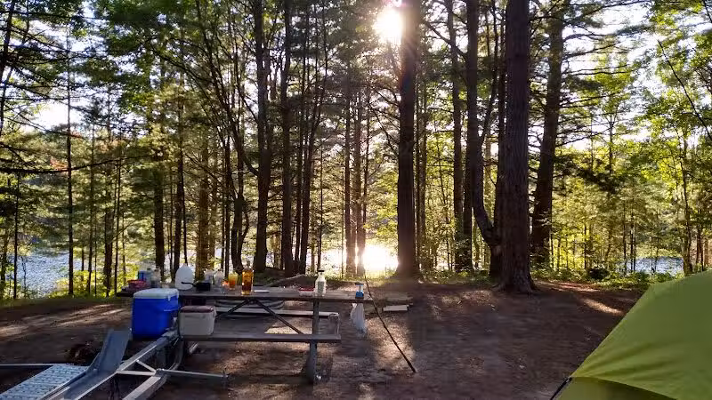 Kingston Lake State Forest Campground - Shingleton,