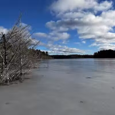 Kingston Lake State Forest Campground - Shingleton,