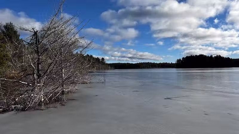 Kingston Lake State Forest Campground - Shingleton,