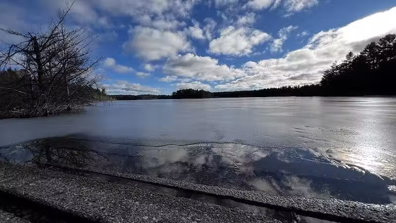 Kingston Lake State Forest Campground - Shingleton,