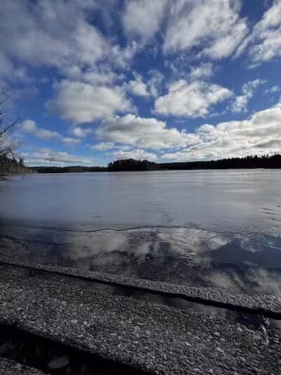 Kingston Lake State Forest Campground - Shingleton,