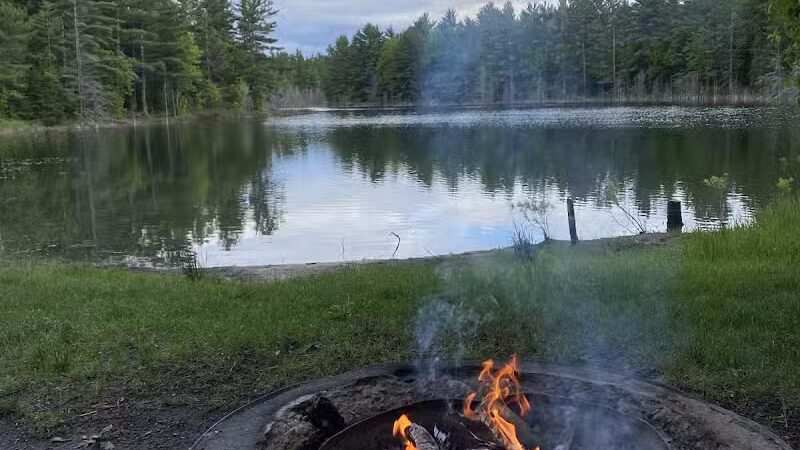 Kingston Lake State Forest Campground - Shingleton,