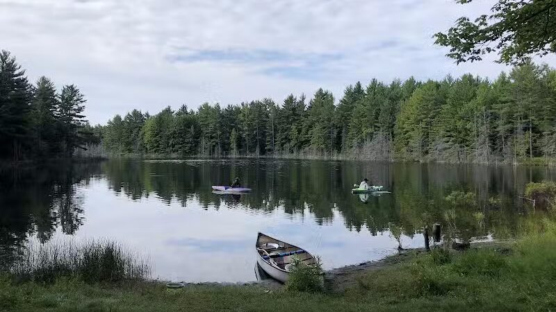 Kingston Lake State Forest Campground - Shingleton,