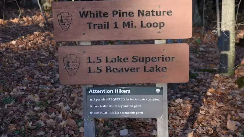 Little Beaver Lake Campground Trailhead - Shingleton,