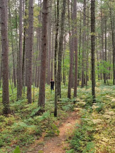 Miners Beach - Shingleton,