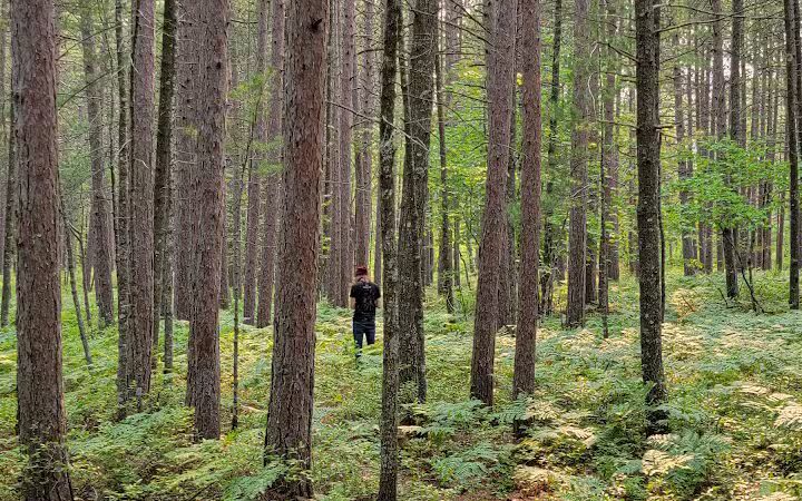 Miners Beach - Shingleton,