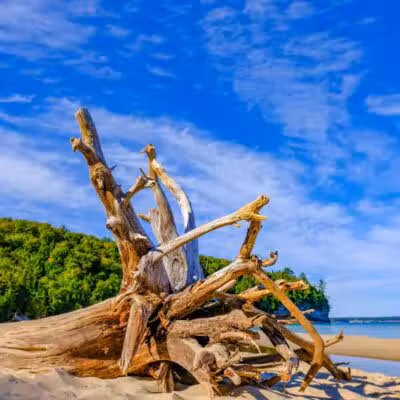 Miners Beach - Shingleton,