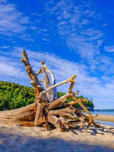 Miners Beach - Shingleton,