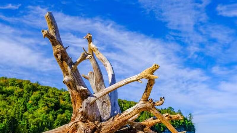 Miners Beach - Shingleton,