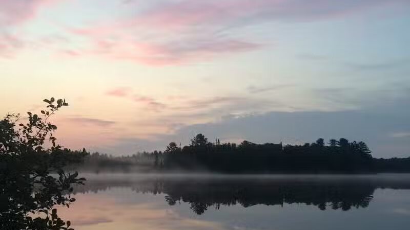 Ross Lake State Campground - Shingleton,