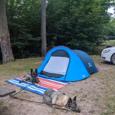 Ross Lake State Campground - Shingleton,