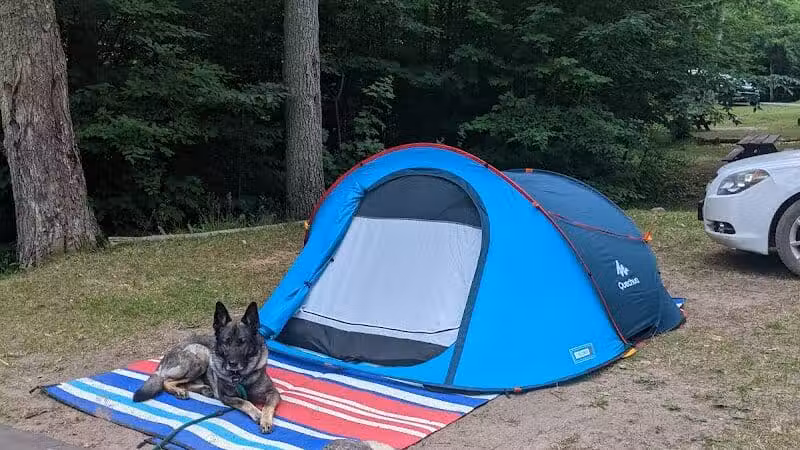 Ross Lake State Campground - Shingleton,