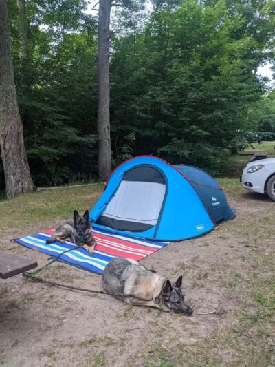 Ross Lake State Campground - Shingleton,