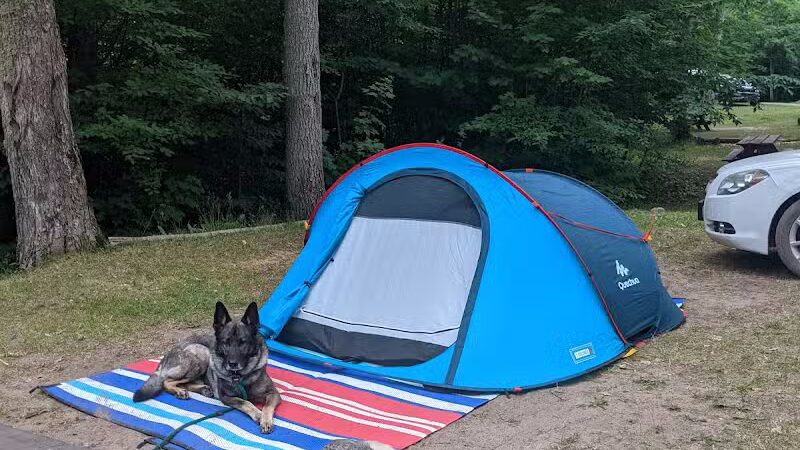 Ross Lake State Campground - Shingleton,