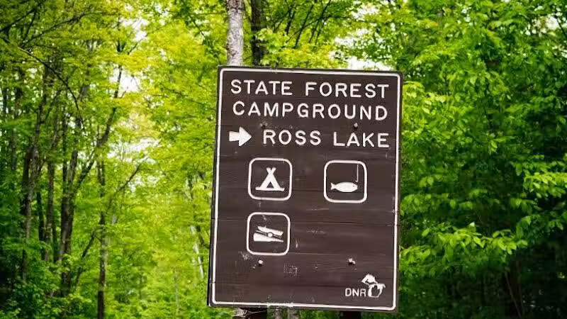 Ross Lake State Campground - Shingleton,
