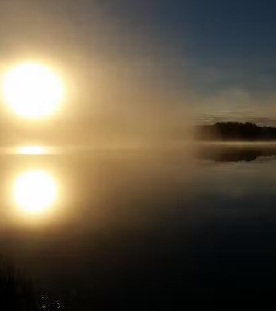 Ross Lake State Campground - Shingleton,