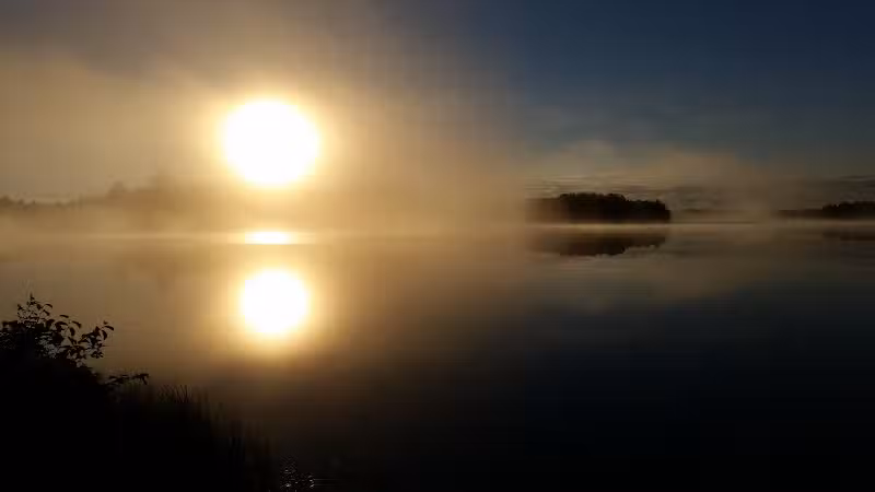 Ross Lake State Campground - Shingleton,