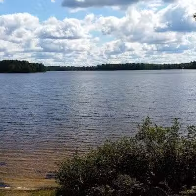 Ross Lake State Campground - Shingleton,