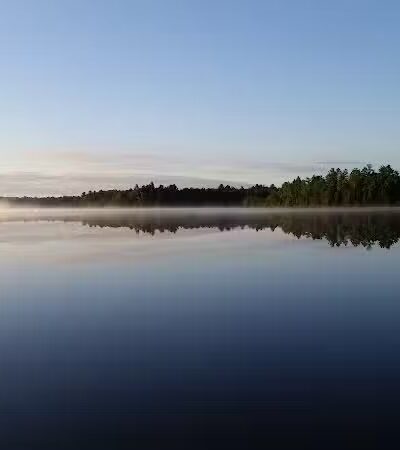 Ross Lake State Campground - Shingleton,