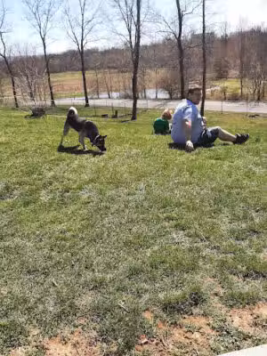 Bubba's Happy Tails Dog Park - Shippensburg, PA