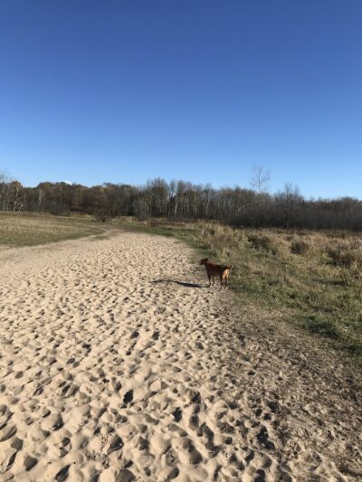 Rice Creek Off-Leash Dog Area - Shoreview, MN