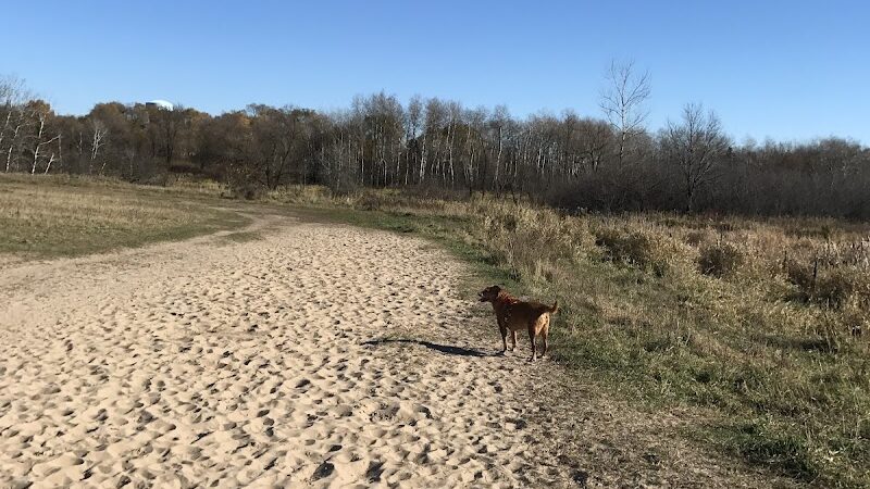 Rice Creek Off-Leash Dog Area - Shoreview, MN