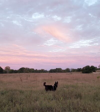 Rice Creek Off-Leash Dog Area - Shoreview, MN