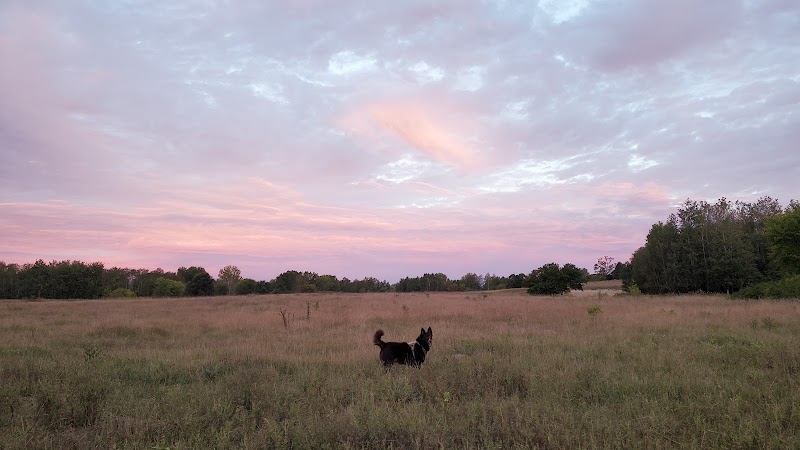 Rice Creek Off-Leash Dog Area - Shoreview, MN