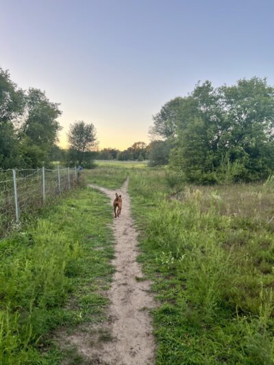 Rice Creek Off-Leash Dog Area - Shoreview, MN